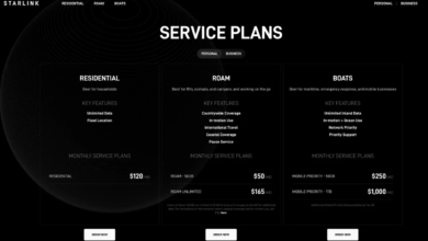 Starlink Cost